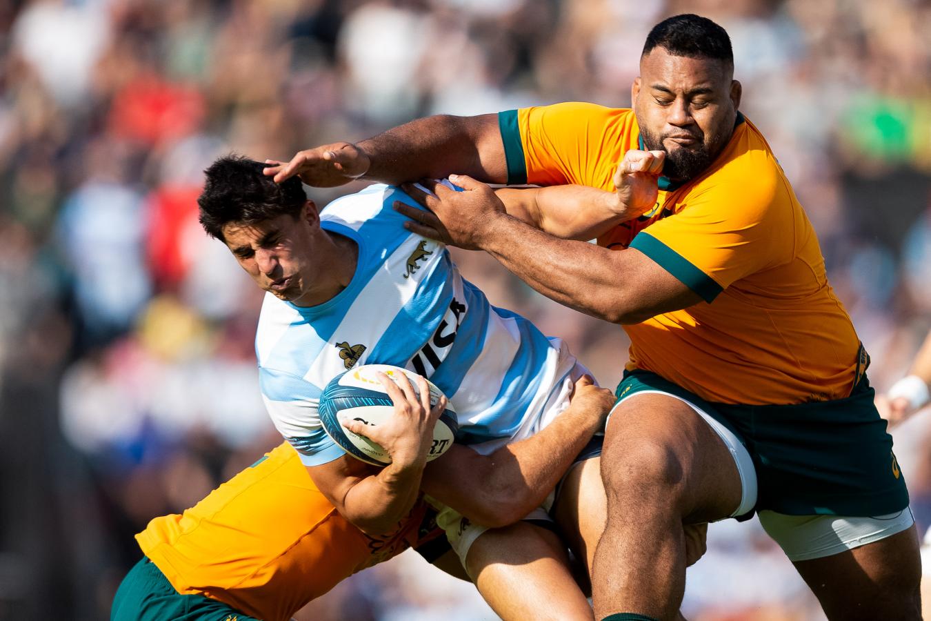 PALIZA DE LOS PUMAS FRENTE A AUSTRALIA