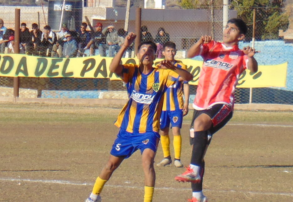 FÚTBOL – LIGA CHILECITEÑA: EL SÁBADO, LA FINAL DE IDA ENTRE DEFENSORES LOCAL DE LOS ANDES