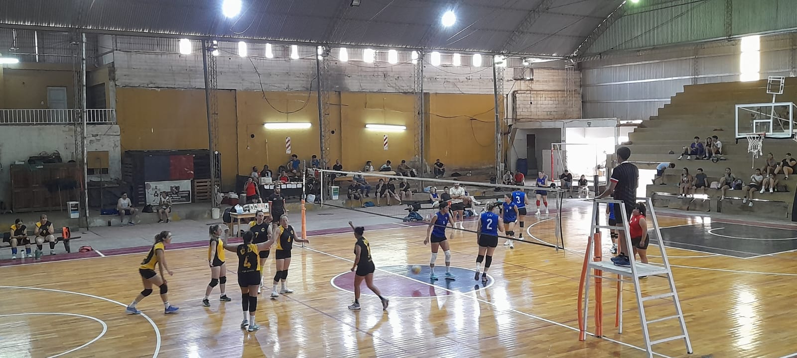 VOLEIBOL CHILECITEÑO: YA SE CONOCEN LOS FINALISTAS DEL TORNEO CLAUSURA 2025