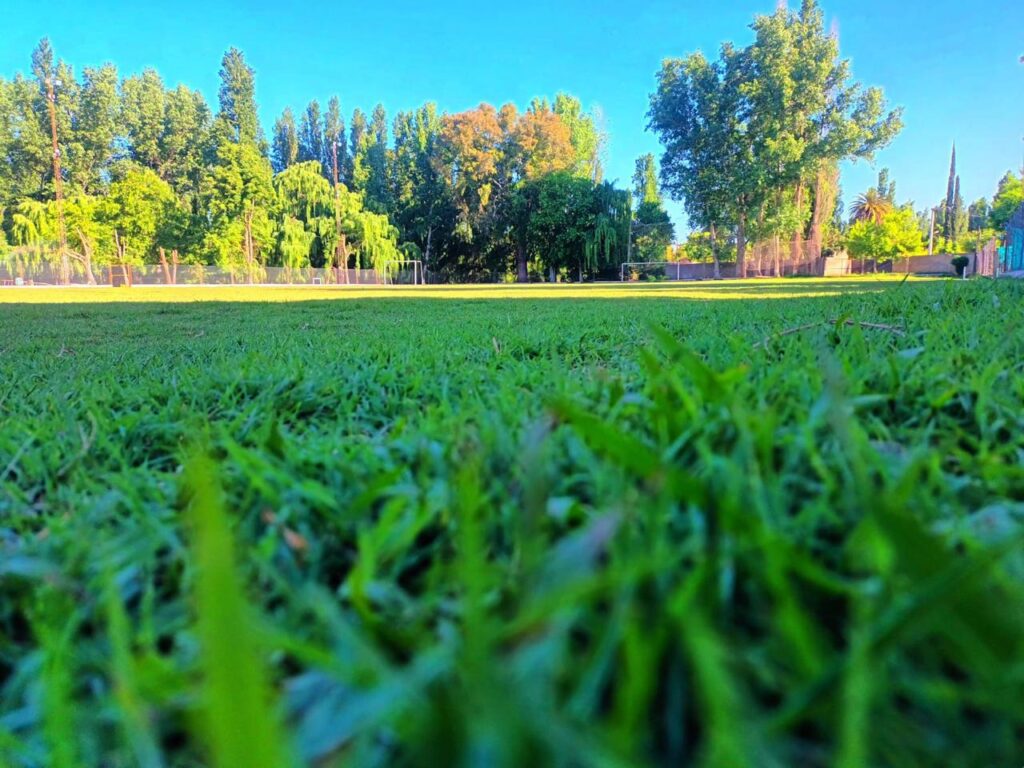 FÚTBOL DE SAÑOGASTA: EN NEWELL´S VA LA TERCERA FECHA