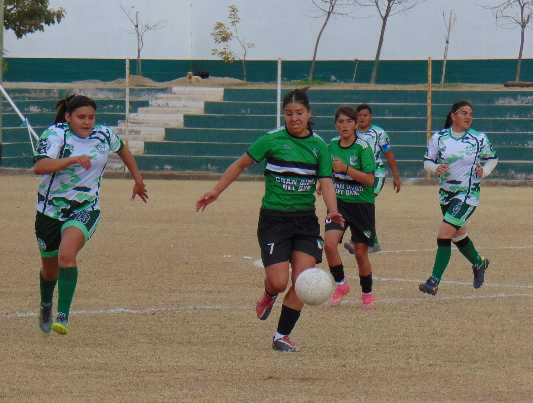 FÚTBOL FEMENINO: NEWELL´S VOLVIÓ AL TRIUNFO, EMPATE ENTRE LOS CHUYOS Y ANGUINAN