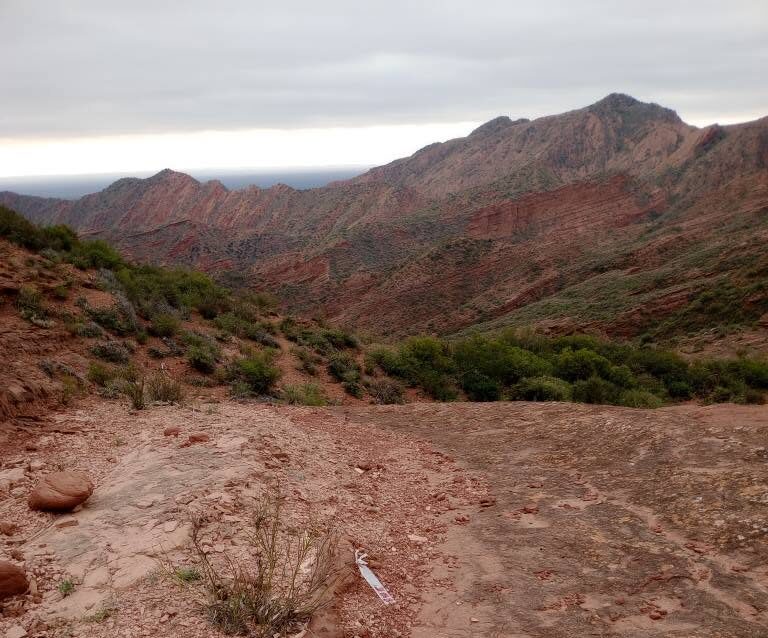 TRAIL RUNNING 2026: SE CORRE LA QUINTA FECHA EN PUERTO ALEGRE