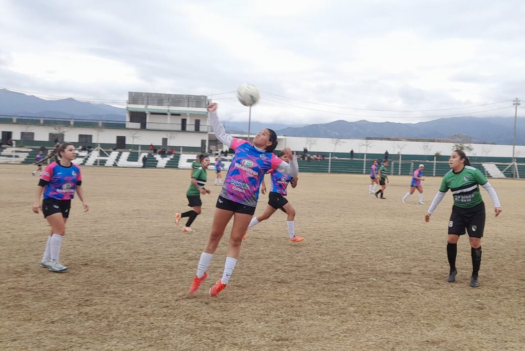 FÚTBOL FEMENINO: GOLEADA DE NEWELL´S, Y ATLÉTICO SE ACERCA A LOS CHUYOS